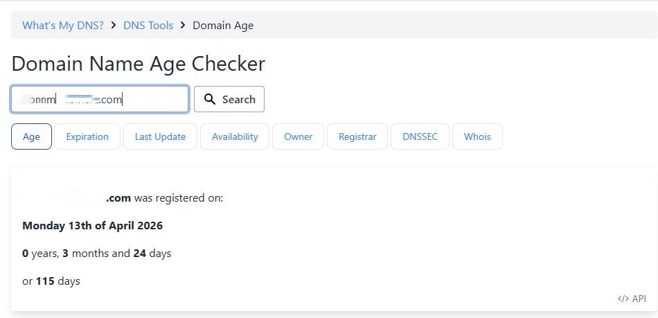 Domain age checker showing the domain was registered in April 2026